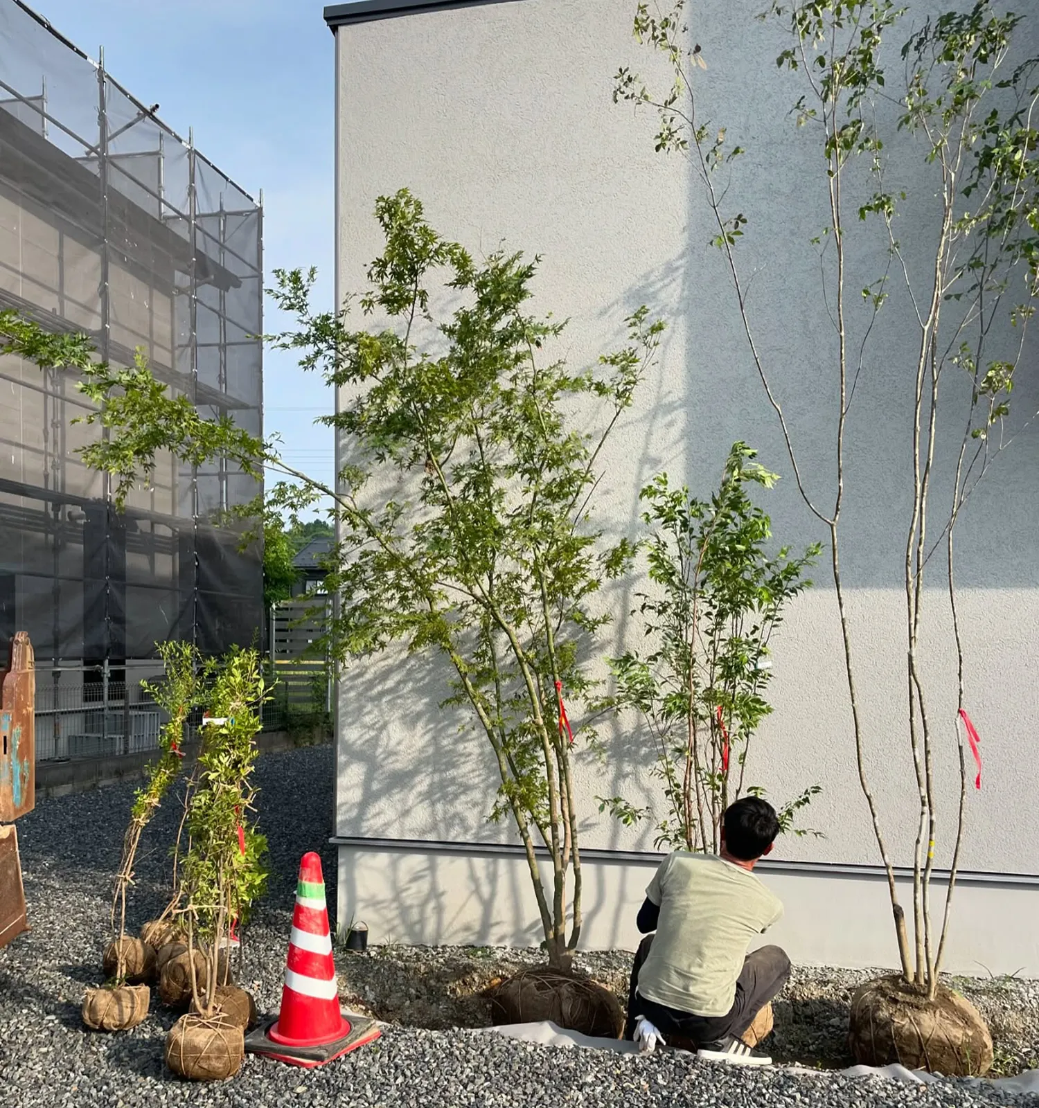 トータルGの植栽実績